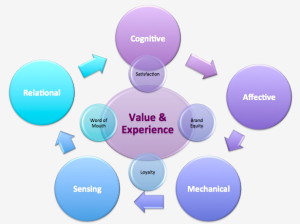 The Cycle and Impact of Behaviors and Experience