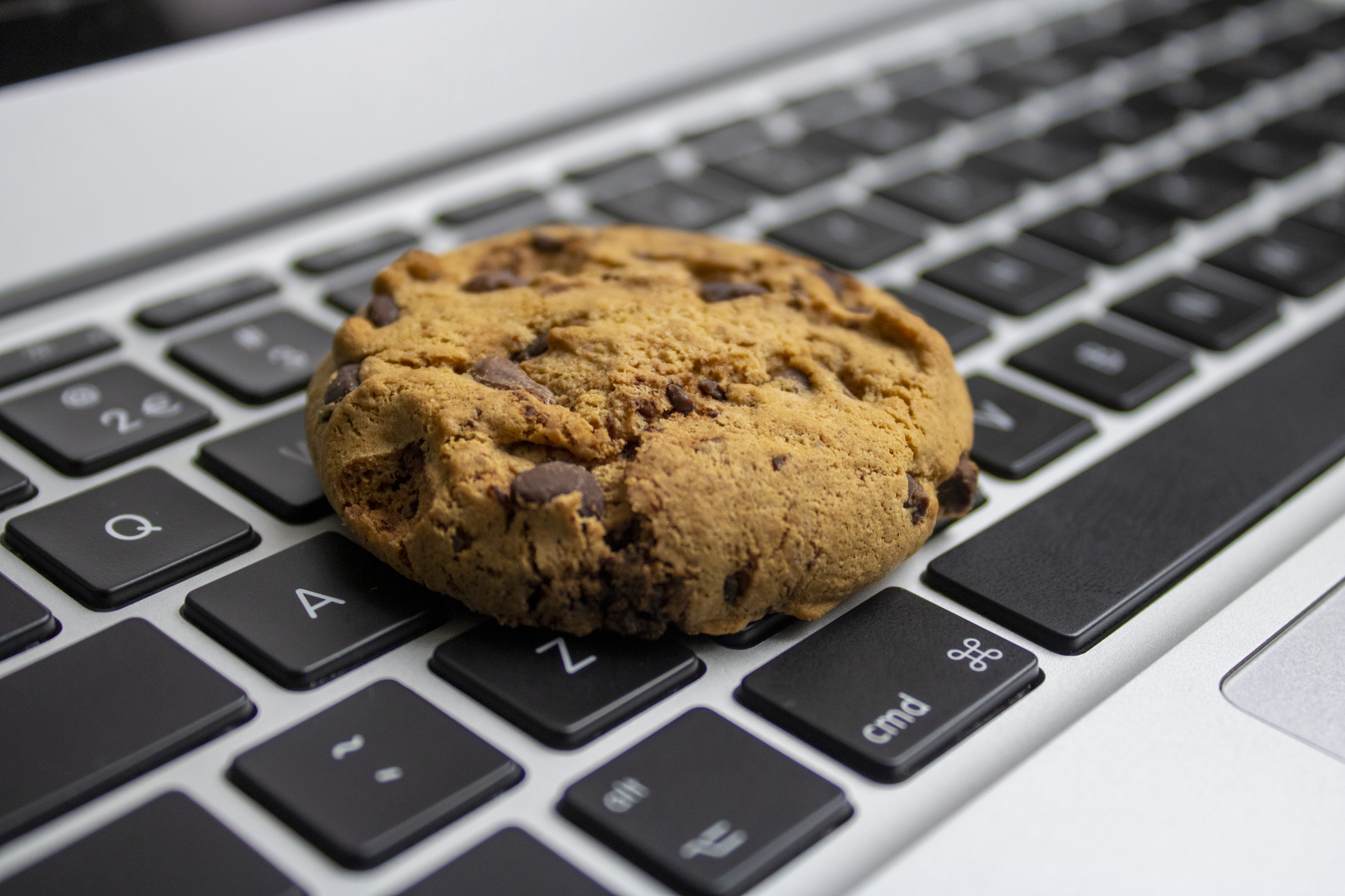 Cookie on the keyboard image