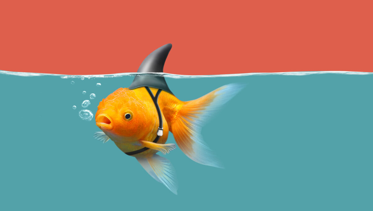 Ideas + Innovations from 2040: Innovation Theater