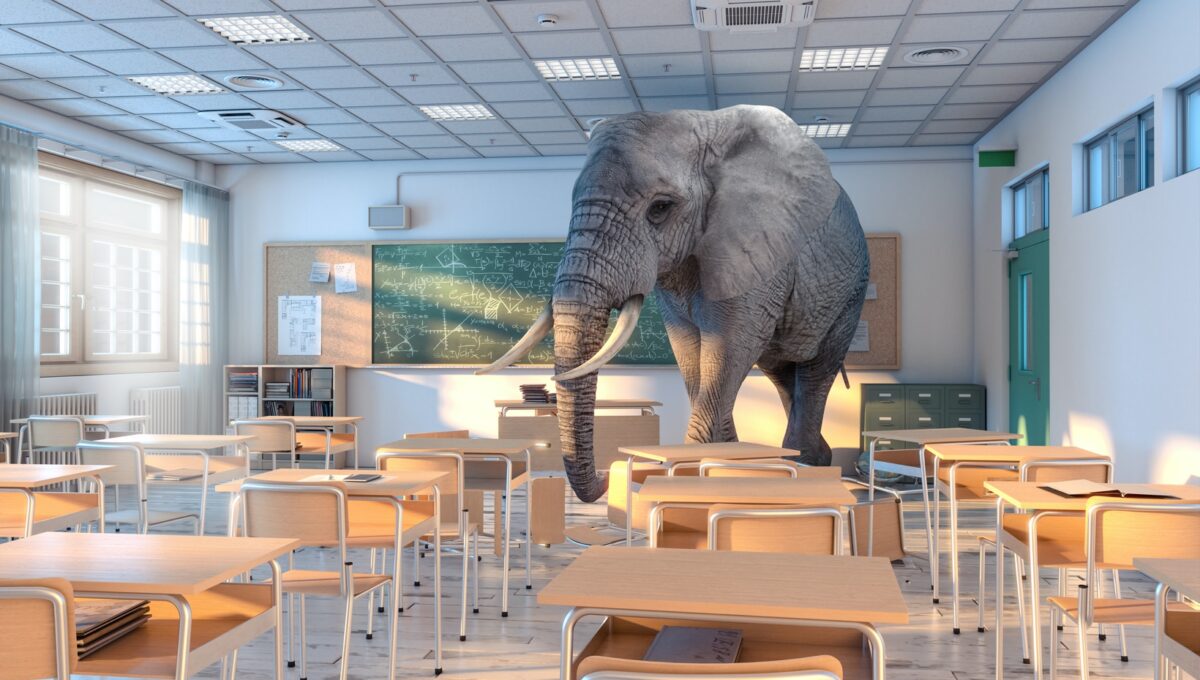 An Elephant? What Elephant? Where Is the Elephant? – Ideas + Innovations from 2040