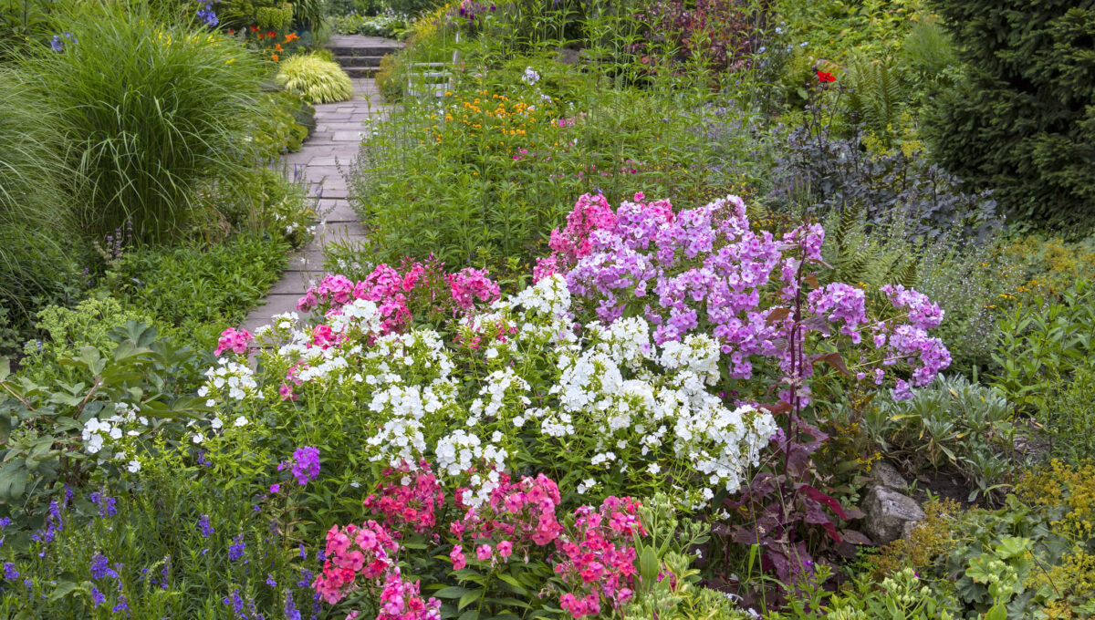 Spring Awakening – Ideas and Innovations from 2040