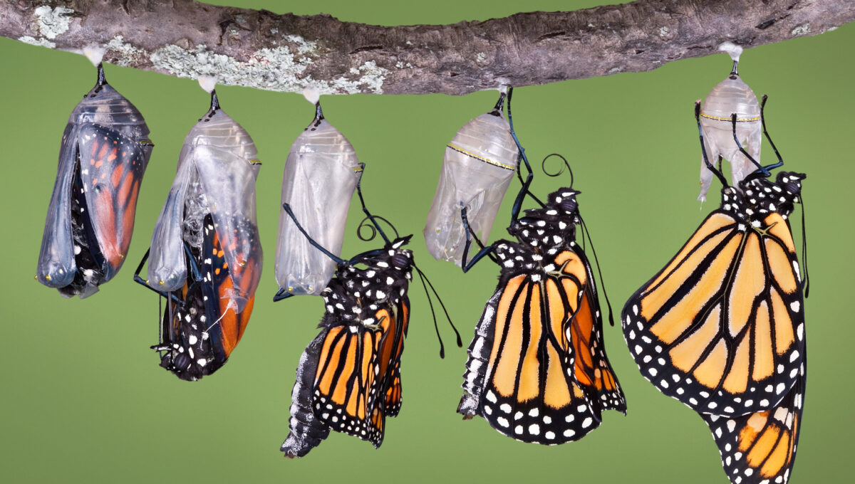 Inspiration for Commitment, Redefinition, and Reinvention