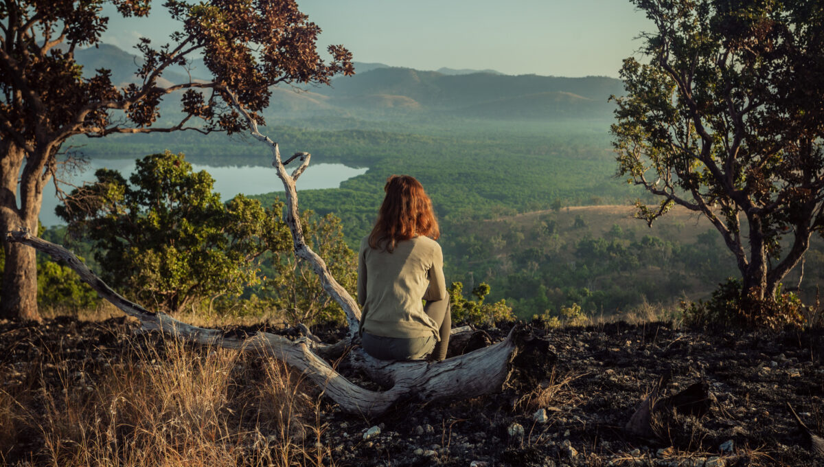 The Value of Reflective Decision-Making