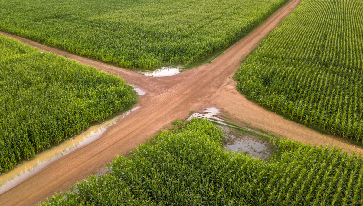 Is Centrism an Opportunity?