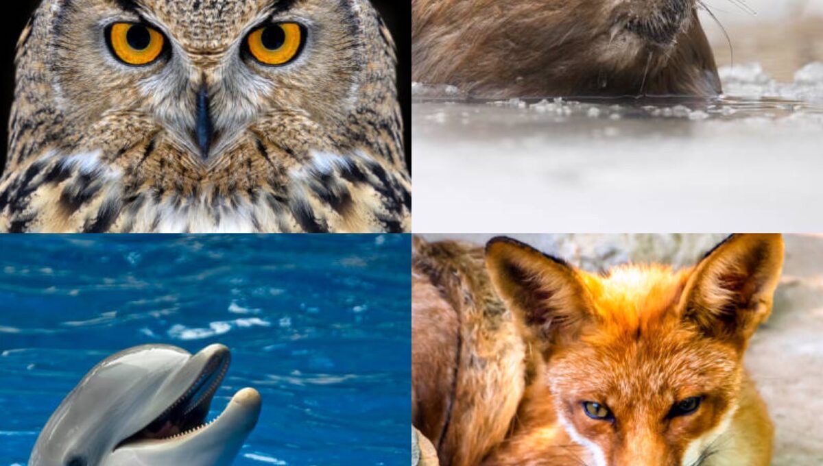 How Understanding Personality Types Improves Team Performance