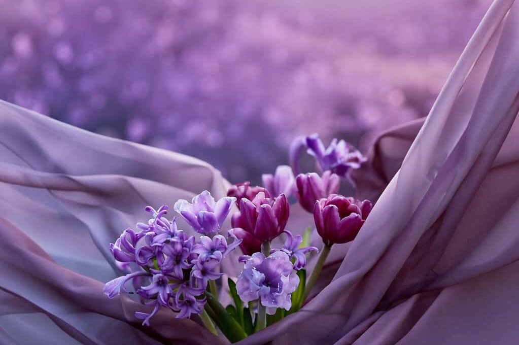 Image of spring flowers held in a sheet of fabric